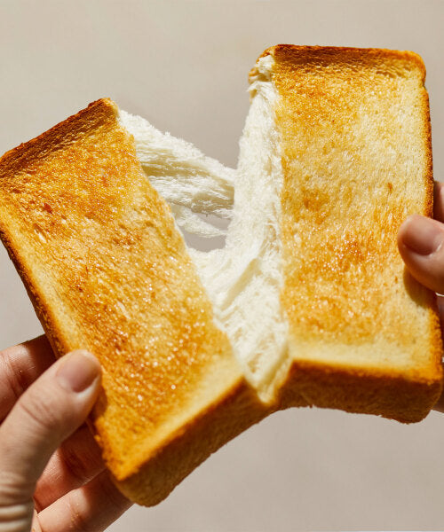 Steam & Bake Toaster Product Guide – BRUNO Malaysia